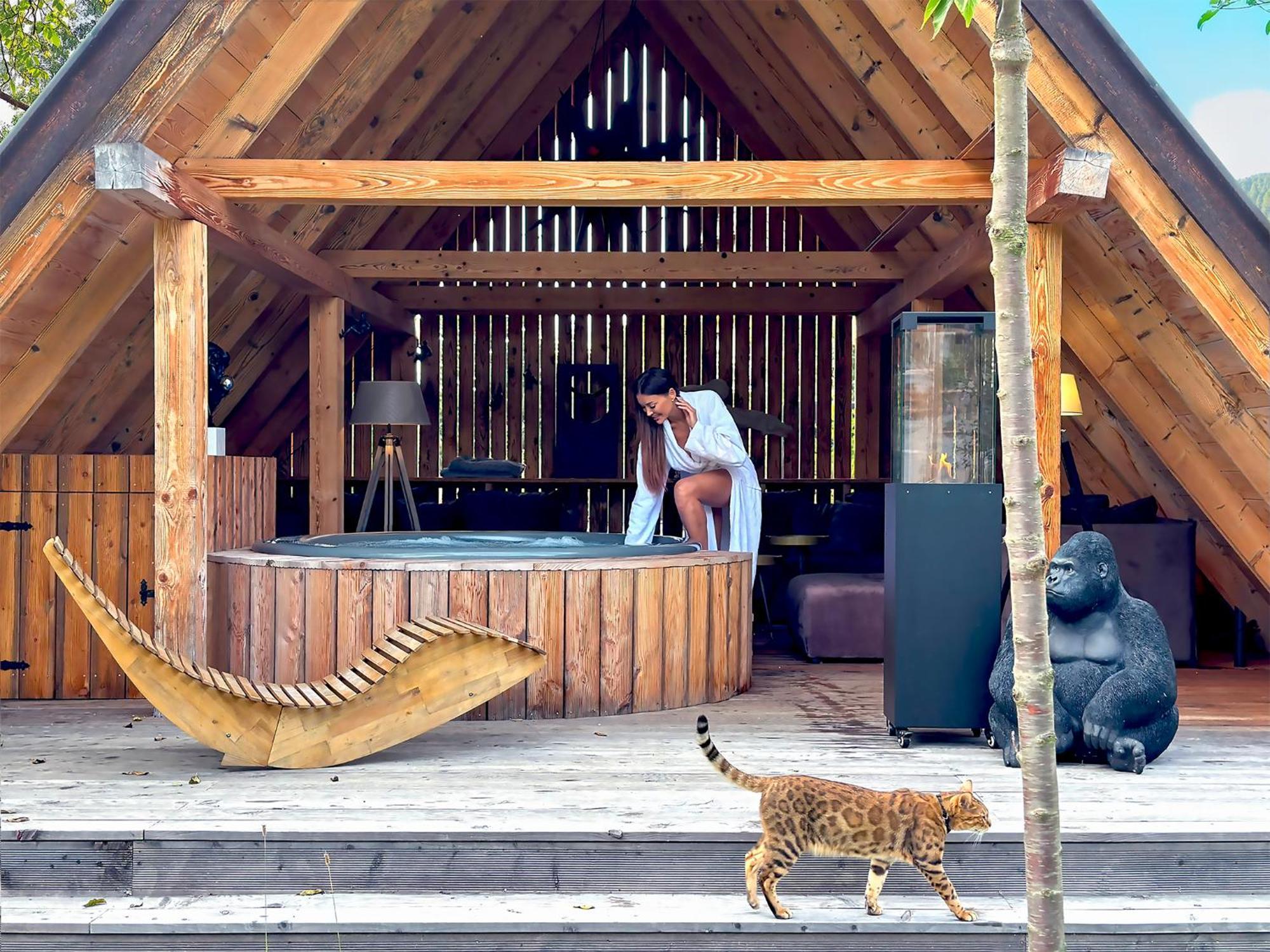 Gorska Osada Beautiful Chalets ザコパネ エクステリア 写真